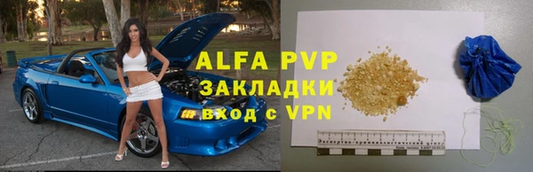 круглые Белокуриха