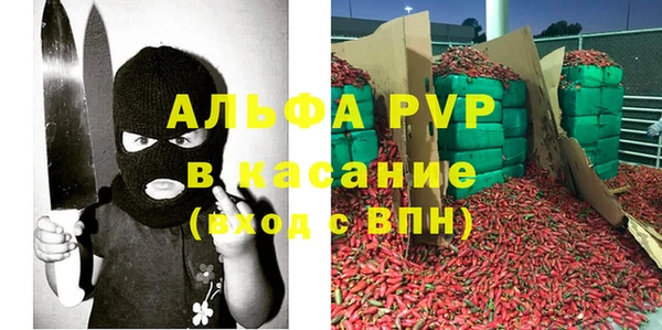 стаф Белоозёрский