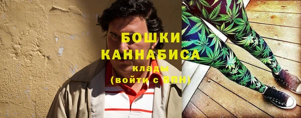 круглые Белокуриха