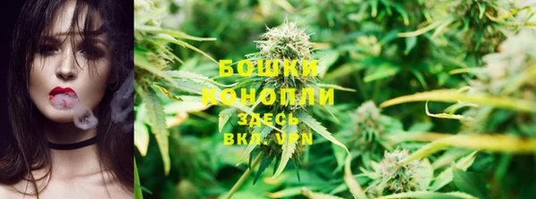 стаф Белоозёрский
